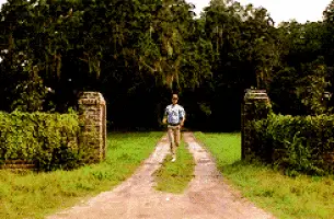 Forrest Gump runs away giphy